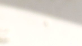 Un descuido o mal manejo de electricidad puede provocar que el arbolito de Navidad se prenda en llamas en segundos. /AURELIA VENTURA