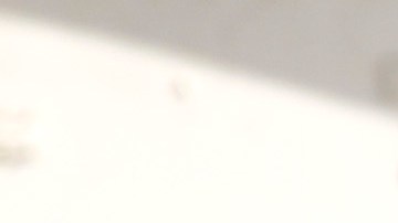 Un descuido o mal manejo de electricidad puede provocar que el arbolito de Navidad se prenda en llamas en segundos. /AURELIA VENTURA