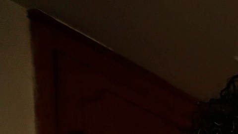 Everardo Pérez y su esposa Verónica no han pasado la Navidad con sus familiares por varias décadas. /AURELIA VENTURA