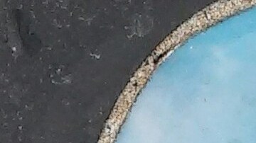 Chunkie y Sonia perdieron la vida en un accidente con un conductor que manejaba bajo la influencia del alcohol.