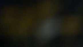 Damm es considerado el segundo jugador más rápido del mundo, solo por debajo de Gareth Bale.