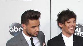 ¿Será este el fin de One Direction?