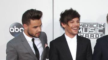 ¿Será este el fin de One Direction?