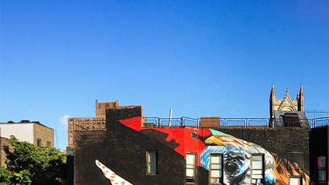 El mural del halcón tijereta contiene otras 12 especies de aves amenazadas. La torre de la iglesia a la derecha del mural es la ubicación del lugar de descanso final de John James Audubon.