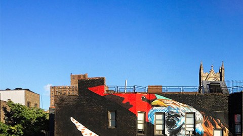 El mural del halcón tijereta contiene otras 12 especies de aves amenazadas. La torre de la iglesia a la derecha del mural es la ubicación del lugar de descanso final de John James Audubon.