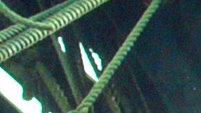 'In the Heart of the Sea' es el gran estreno de esta semana en cines.