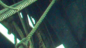 'In the Heart of the Sea' es el gran estreno de esta semana en cines.