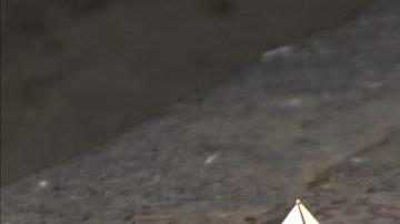 Violencia en México