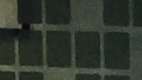 Ali Noorani es un lider pro inmigrante poco usual: no es Latino sino descendiente de inmigrantes paquistaníes, es musulman y considera que hay que entender a los votantes de Donald Trump, no menospreciarlos, para entender "su miedo" al cambio demográfico.