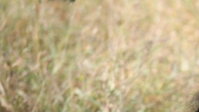 Una madre hondureña sostiene a su hija de 3 años, después de entregarse con su familia a los agentes de la Patrulla Fronteriza el 8 de diciembre de 2015 cerca de Rio Grande City, Texas.