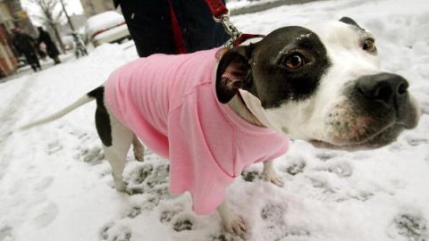 Snow Blankets East Coast