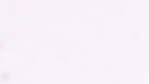 Foto: Shutterstock