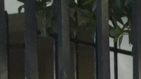 Silvia Hernández, madre de Luis, 10 años, Stephanie, 9,  y Oliver, 4 años, temen por la seguridad de los estudiantes.