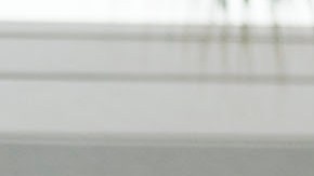 Luis Fonsi se dejó seducir por La Fuerza durante su visita al Disney resort en Orlando.