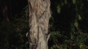 Niños también tomaron parte en la protesta realizada ayer.