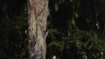 Niños también tomaron parte en la protesta realizada ayer.