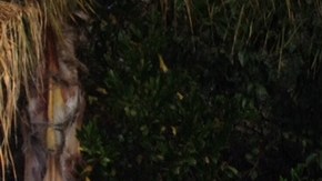 Rocío Arreola protesta por la fuga de gas en Porter Ranch. /FRANCISCO CASTRO