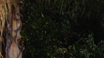 Rocío Arreola protesta por la fuga de gas en Porter Ranch. /FRANCISCO CASTRO