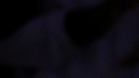 El reconocido violinista Itzhak Perlman dará cuatro conciertos el próximo mes de enero.