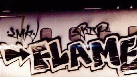 Los daños causados a los aviones ascienden a varios miles de dólares. /NBC LOS ANGELES