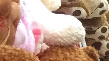 Joshua Montalvo está feliz de haber abierto un negocio de osos de peluche gigantes en el sur de Los Ángeles para comenzar a dar una imagen positiva al área donde vive. (Araceli Martinez/La Opinión).