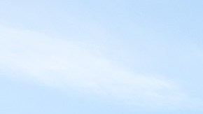 Los plazos y los procesos de solicitud de plaza de las diferentes escuelas del distrito varían mucho, lo cual dificulta que las familias elijan, según el informe.