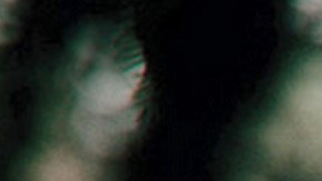 Leonardo DiCaprio recibió una nominación por 'The Revenant', dirigida por el cineasta mexicano Alejandro G. Iñárritu.