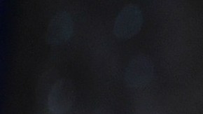 La del domingo pasará a la historia como una de las meteduras de pata más épicas de la historia de la televisión.