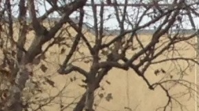 Cientos de personas acudieron a celebrar la Navidad en Skid Row.