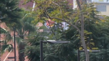 Peregrinos en la puerta principal de la Basílica de Guadalupe.