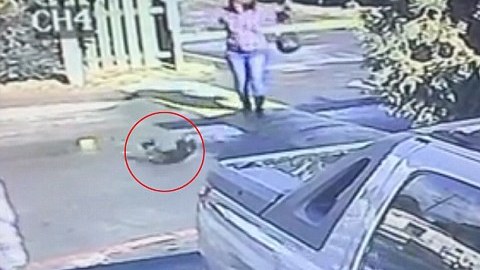 La mujer es buscada por maltratar a un perro pug.