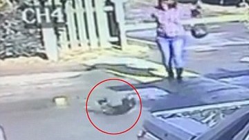 La mujer es buscada por maltratar a un perro pug.