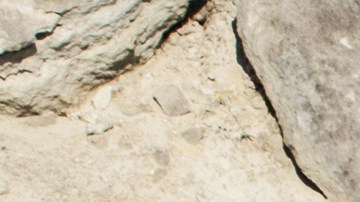 La mutilación de extremidades es algo común entre los soldados que han ido a la guerra incluyendo la pérdida de los genitales.