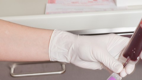 donacion sangre