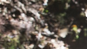 'Star Wars: The Last Jedi'. Foto: Disney Studios