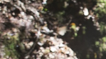 'Star Wars: The Last Jedi'. Foto: Disney Studios