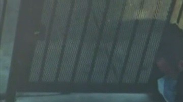 Imágenes captadas por testigos muestran el momento del arresto.