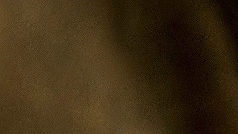 El apoyo de los votantes republicanos hacia Donald Trump para que sea el nuevo presidente de EEUU continúa aumentado, según las encuestas.