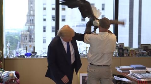 Un águila calva ataca al magnate Donald Trump durante una sesión de fotos para la revista TIME.