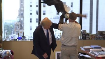 Un águila calva ataca al magnate Donald Trump durante una sesión de fotos para la revista TIME.