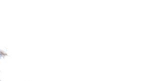 Mario Escobedo es el capitán del equipo Halcones y se distingue por su responsabilidad en la cancha.