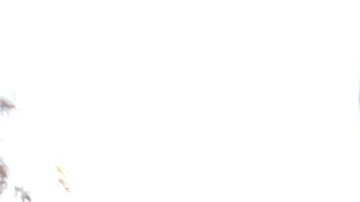 Mario Escobedo es el capitán del equipo Halcones y se distingue por su responsabilidad en la cancha.