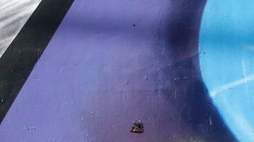 Foto de archivo de los desamparados en Los Angeles. (Aurelia Ventura/La Opinion)