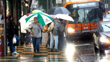 Todavía no es tiempo de guardar el paraguas, advierten los meteorólogos. /AURELIA VENTURA
