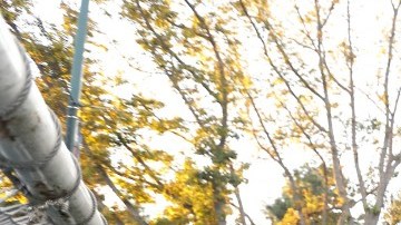 Actualmente Claudia juega en Lady Trigueros de LA Premier Soccer League.