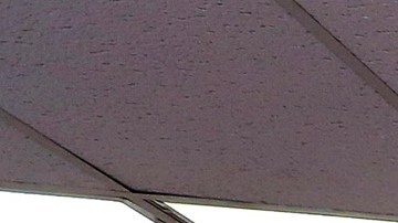 Gente hace fila para enviar dinero a México. /AURELIA VENTURA