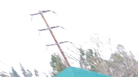 01/23/16 / ORANGE/Aailyah and Collette, two abandoned baby girls are buried during a public ceremony at the Garden of Innocence during the 1st memorial service at El Toro Memorial Park in Orange County. Several dozen volunteers, who never met the baby girls, paid their respects during an emotional ceremony. The Garden of Innocence has given decent burials to 301 abandoned children since 1999. (Photo by Aurelia Ventura/La Opinion)