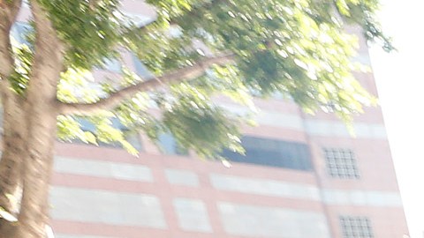 Immigrant rights protesters detained