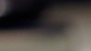 Gavin Newsom apoya la cobertura de salud universal, pero es muy complicado que lo implemente a nivel estatal. (Aurelia Ventura)