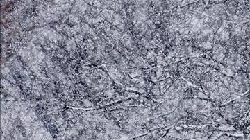 Unas personas caminan bajo una intensa nevada en los alrededores del Capitolio en Washington DC, Estados Unidos.